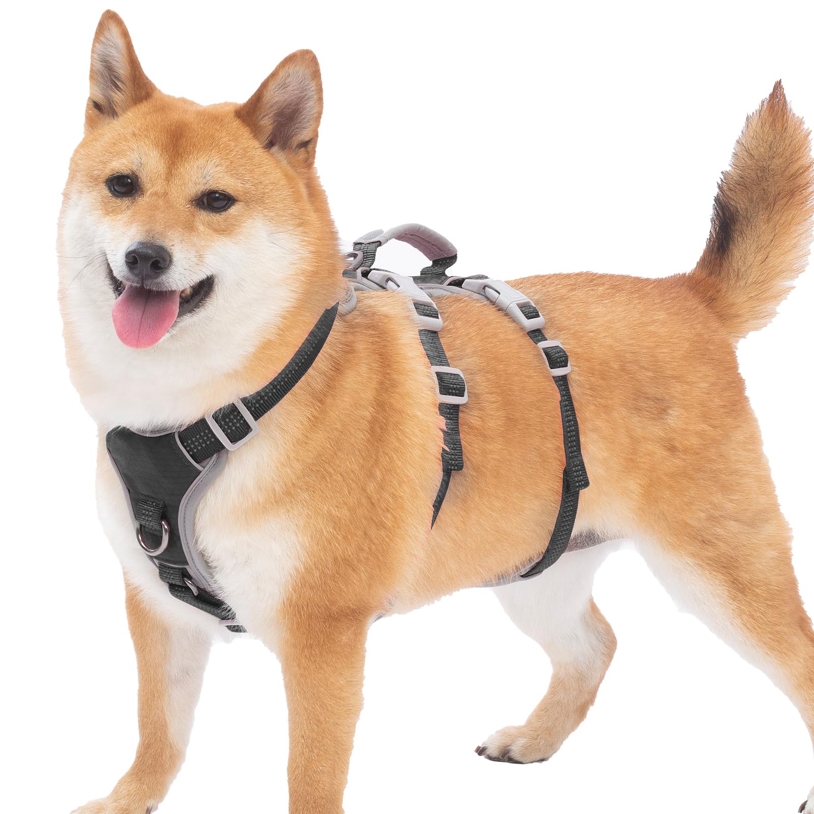 【新品、未使用】犬用ハーネス　中型、大型犬用 楽天市場】犬用ハーネス 小型犬/ 中型犬/ 大型犬【4dox